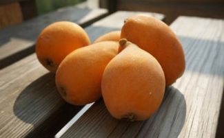 吃枇杷的季节是几月份 吃完枇杷不能吃啥