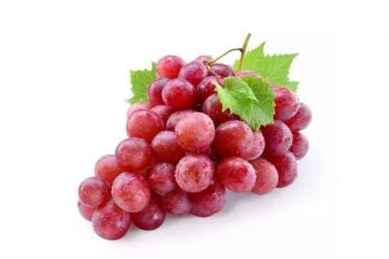 吃提子的坏处 吃提子上火还是降火