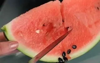吃西瓜不吐籽的人性格 吃西瓜可以连籽一起吃吗
