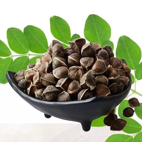 吃辣木籽三个月的变化 辣木籽一个月能瘦几斤
