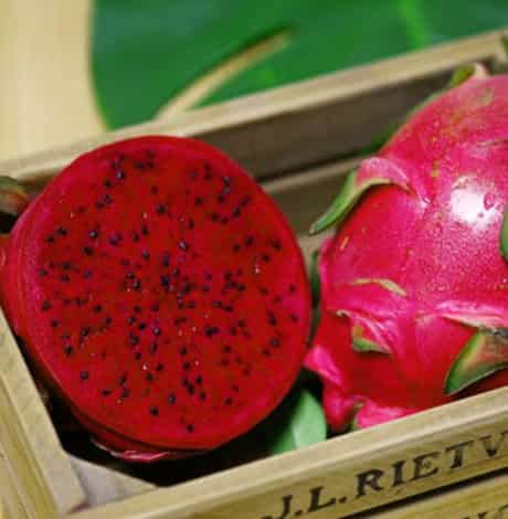 吃红心火龙果为啥拉黑屎 女性连吃半个月红心火龙果