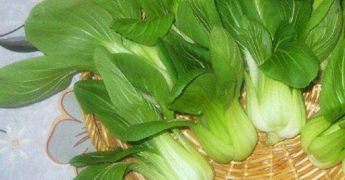 吃青菜的好处有哪些 多吃蔬菜的10个好处