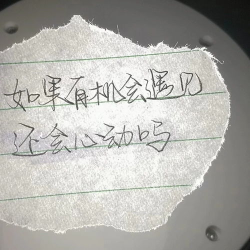 后来南京沦陷了 梧桐树也没有了 南京人为什么讨厌梧桐树