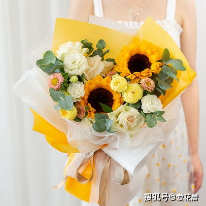 向日葵真正的花语 向日葵适合送给什么人
