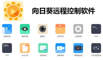 向日葵远程软件下载官网 向日葵windows下载官方