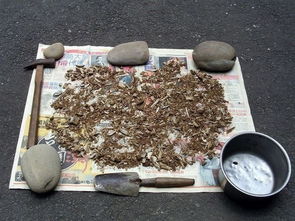呋喃丹撒在土壤表面 呋喃丹埋到土里多久失效