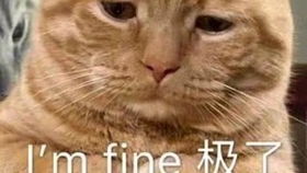 呋虫胺猫舔了有毒吗 呋虫胺为什么被禁用