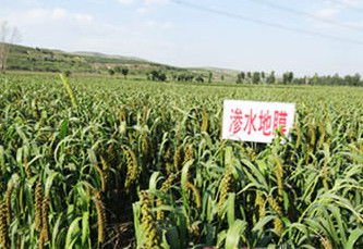 周边和谷子的区别 周边和谷子一样的吗