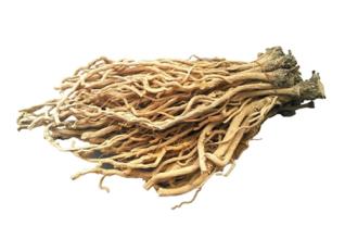 含羞草煲猪尾骨的功效 含羞草的中药偏方