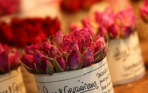 和玫瑰最配的网名 高级玫瑰网名