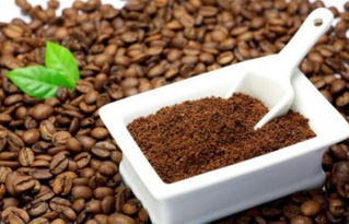 咖啡渣铺在花盆表面 咖啡渣可以直接放土里吗