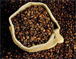 咖啡是什么动物的粪便 咖啡豆是粪便吗