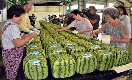 哪个国家西瓜最奢侈 日本为啥不进口中国西瓜
