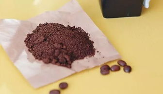 咖啡渣除味必须晒干吗 咖啡渣会引来蟑螂吗