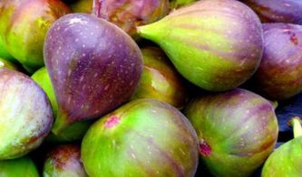 哪里的无花果产地最好 中国无花果之乡有几个