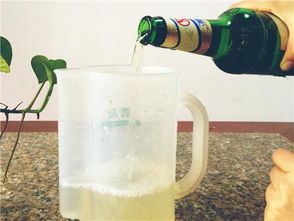 啤酒发酵臭了可以浇花吗 啤酒不能浇哪些植物