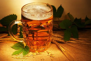 啤酒打开发酵几天可以浇花 啤酒兑水浇花需要发酵吗