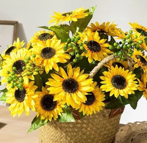 喜欢向日葵的女人心理 向日葵比喻什么样的女人