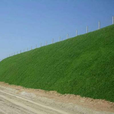 喷播植草多少钱一个平方 挂网客土喷播多少钱一平方