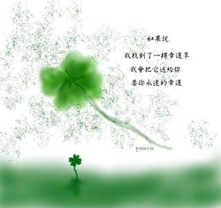 四叶草的爱情花语 四叶草浪漫心语