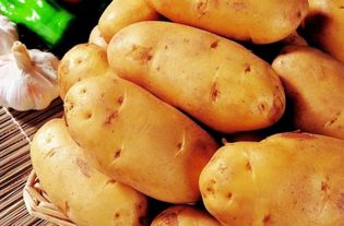 土豆放冰箱冷藏行吗 土豆常温保存还是冷藏