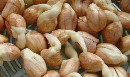 土豆发芽吃了十几年了 发芽土豆中毒死亡几率