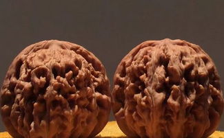 四座楼为什么盘不红 四座楼的缺点