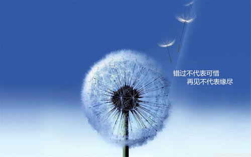 四种人不能喝蒲公英 蒲公英对肝脏的损害