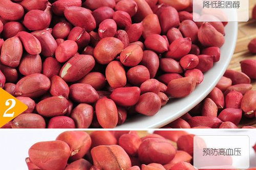 四粒红花生品种介绍 四粒红花生几月份成熟