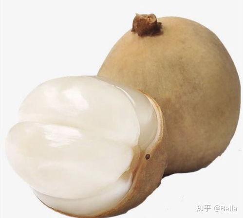 圆圆的黄黄的小水果叫什么 黄黄的椭圆形小果子