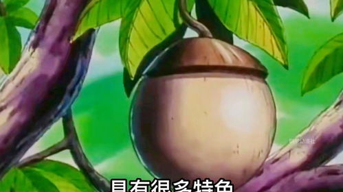 圆圆的带刺的果实 带刺的小圆球叫什么