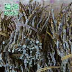 在家如何晒干石斛 石斛鲜条如何制成干条