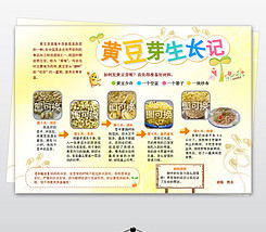 土豆的成长过程 土豆生长小报图片