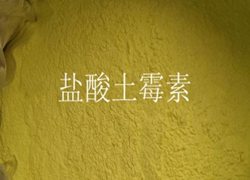 土霉素能治拉肚子吗 土霉素治腹泻效果很好