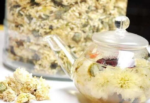坚持喝一个月菊花茶会怎样 一天一杯菊花茶正常吗