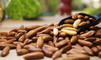 坚果有必要每天吃吗 哪些坚果对健康有好处