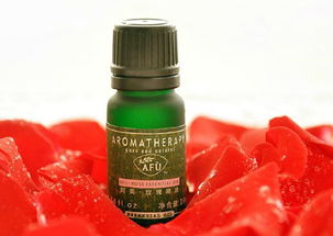 在家自制玫瑰精油 土法提炼玫瑰精油