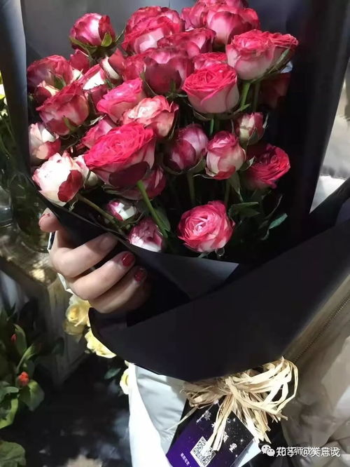 多头玫瑰品种 多头玫瑰名称及图片