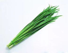夏天韭菜割最后一茬 立秋后韭菜可以割吗