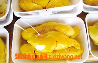 夏天榴莲怎么保存 整个榴莲的保存方法