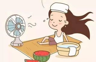 夏天的主要20个特征 夏天的7个明显特征