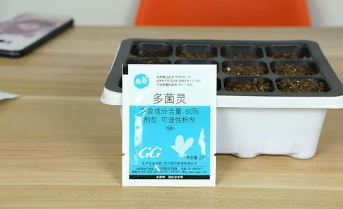 多菌灵最佳配方 家里自制多菌灵