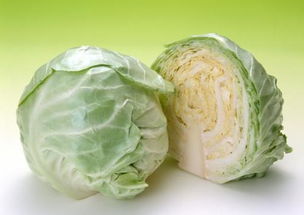 大头菜是包菜吗 怎么区分甘蓝和大头菜