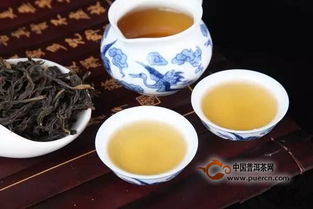 大红袍一般什么价位 真正大红袍多少钱一斤