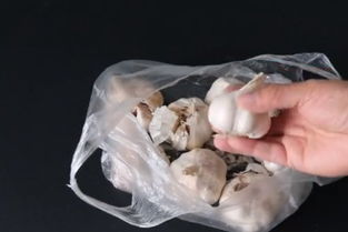 大蒜放冰箱好还是外面好 千万别把大蒜放冰箱