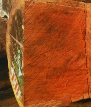 大果紫檀的缺点 大果紫檀有收藏价值吗