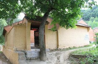 大门口左边有榆树好不好 为什么门口不能种榆树