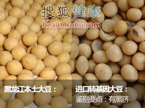 大豆长得太高怎么办 大豆1米高还能控旺吗