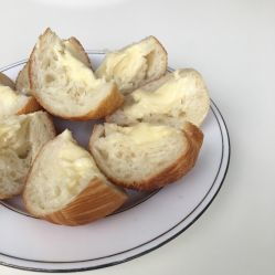 天鹅能吃面包吗 黑天鹅吃面包会死吗