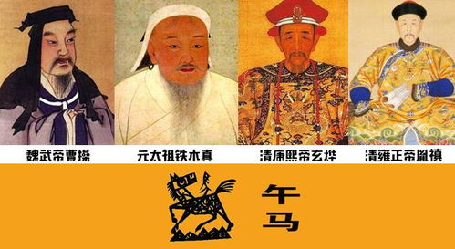 夫人皇帝找菊花准确生肖 菊花打一最佳生肖